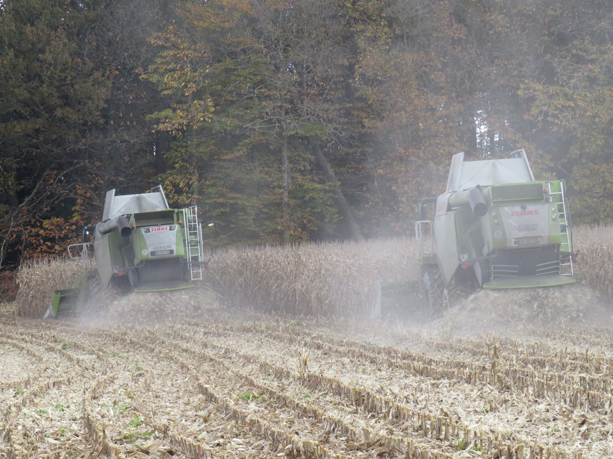 Batteuse grain